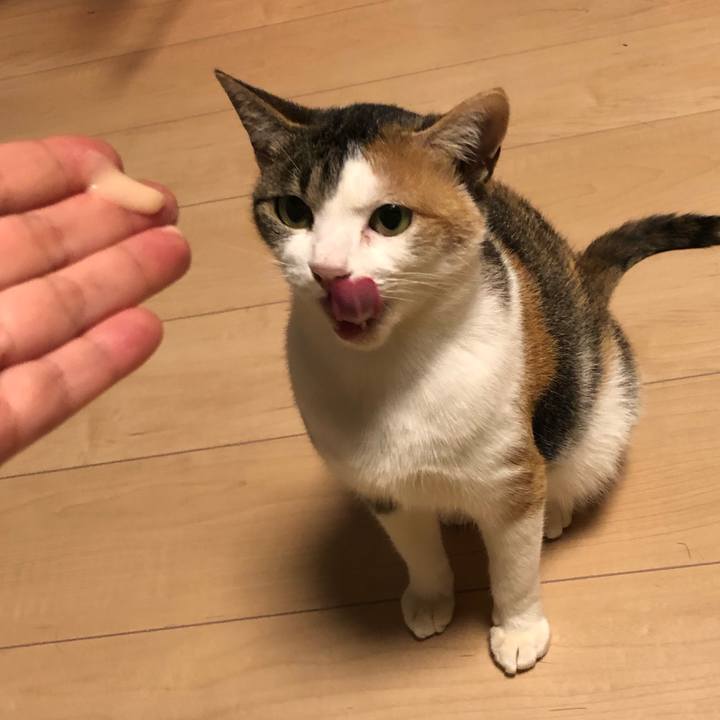 66ff76e5 5ee3 457b 83f8 47c751594a08 1576895997787