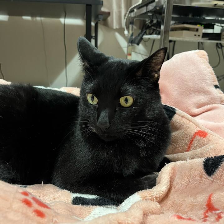 66ff8a9b 248a 41b3 a7fc ff0bf3832a2b 1737414739490