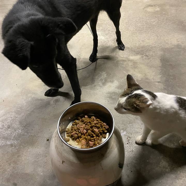 66ff8f28 e757 4e06 96b2 e7d6cc9d6787 1661528562835