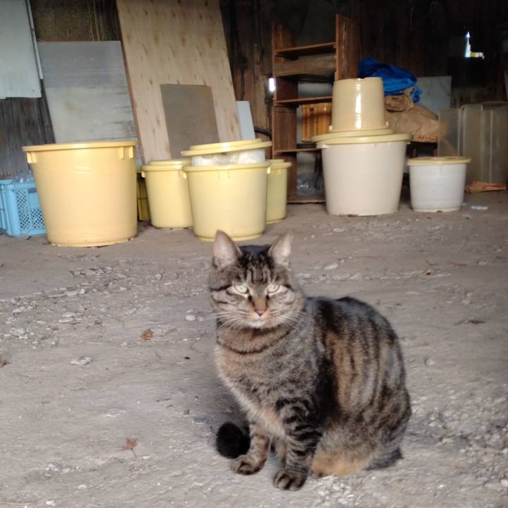 66ffa129 28cf 436f 8653 7e1c1160ba77 1669535467784