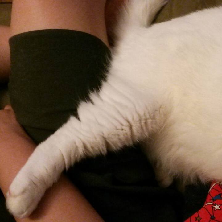 66ffa305 94ce 4b16 a8ea 5a0676c39eed 1570918252921