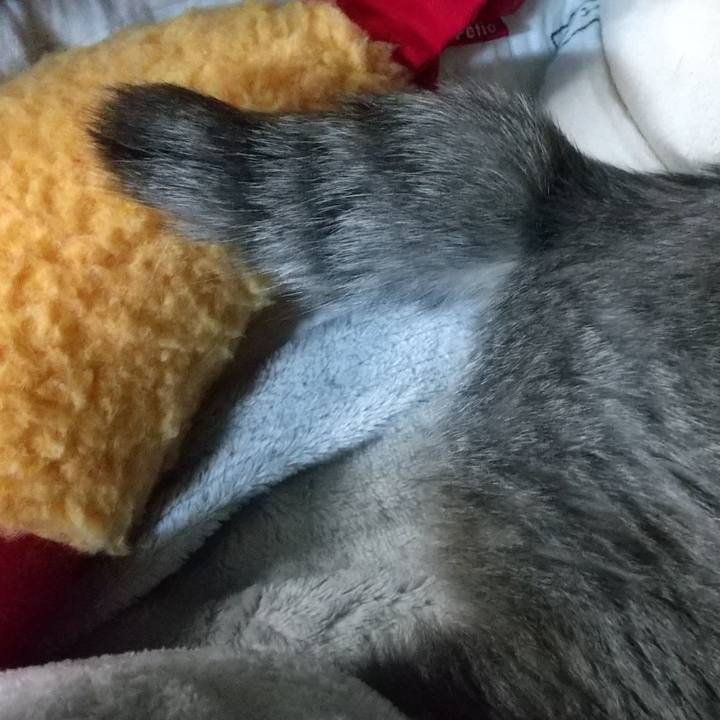 66ffaf42 6678 4646 a442 1cddf5525d68 1697197897424