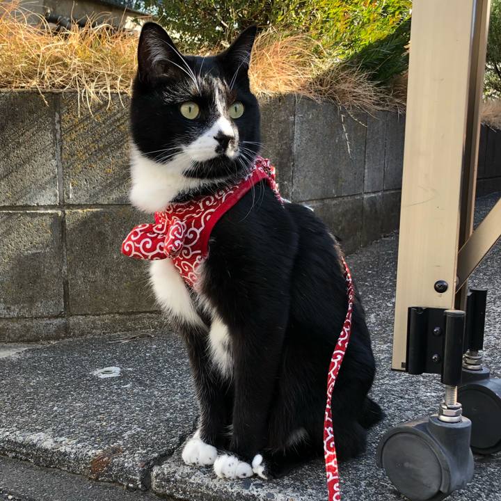 66ffe8cc accd 4f2e a771 59be5a506445 1580529007925