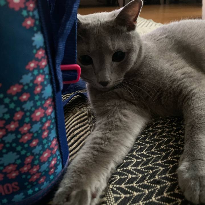 66ffef7e 5523 4da0 bb9a a223a845874a 1600039137006