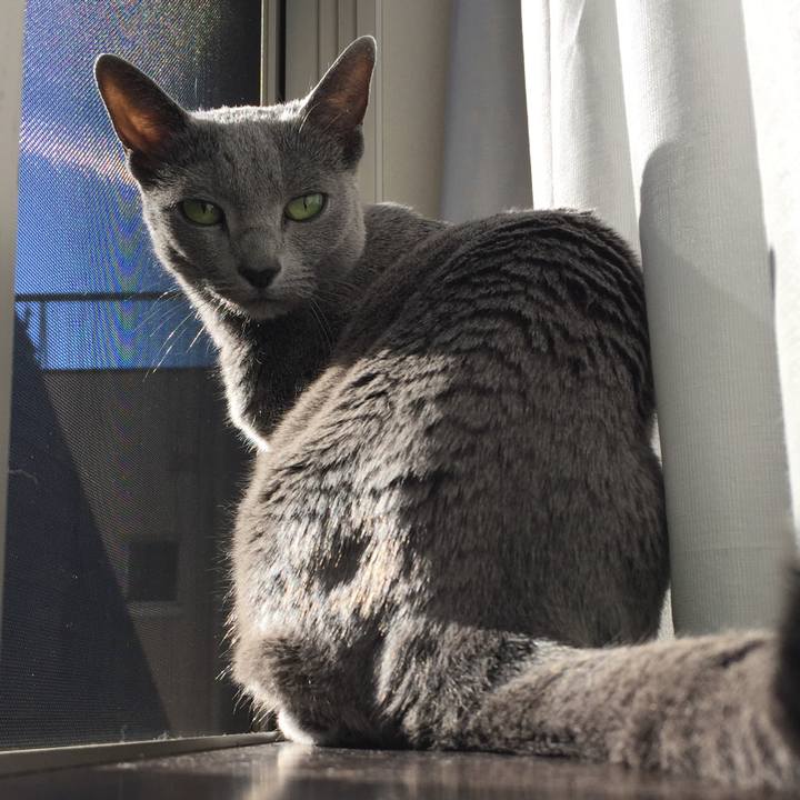 66fff4fb 60f6 4e09 8fe3 af0b1b253ced 1516145737115