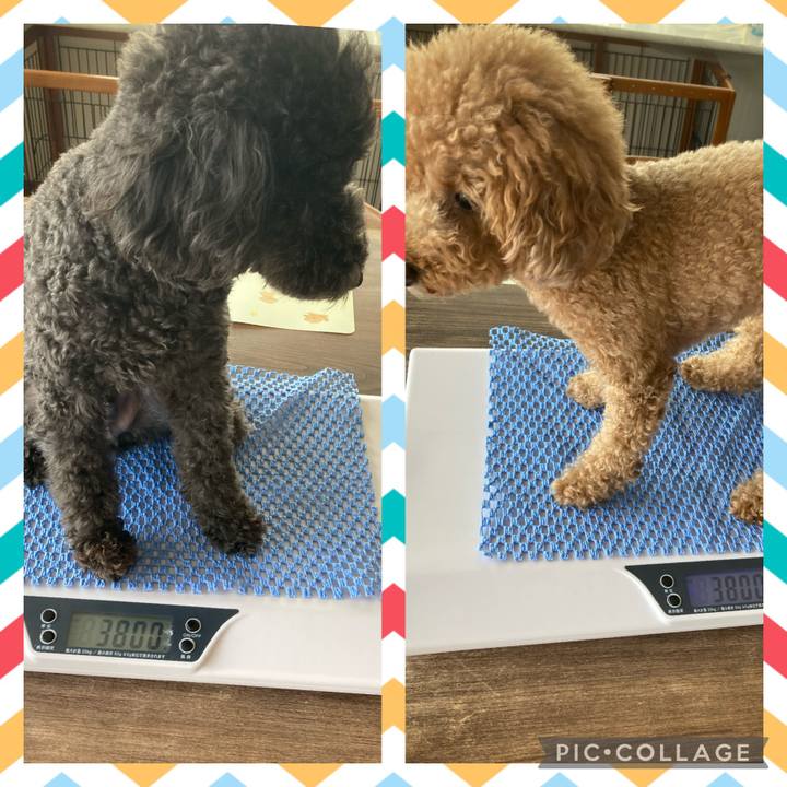 67000cf4 2ffb 4d2a bac0 eaa73ce5d2cd 1626360268342