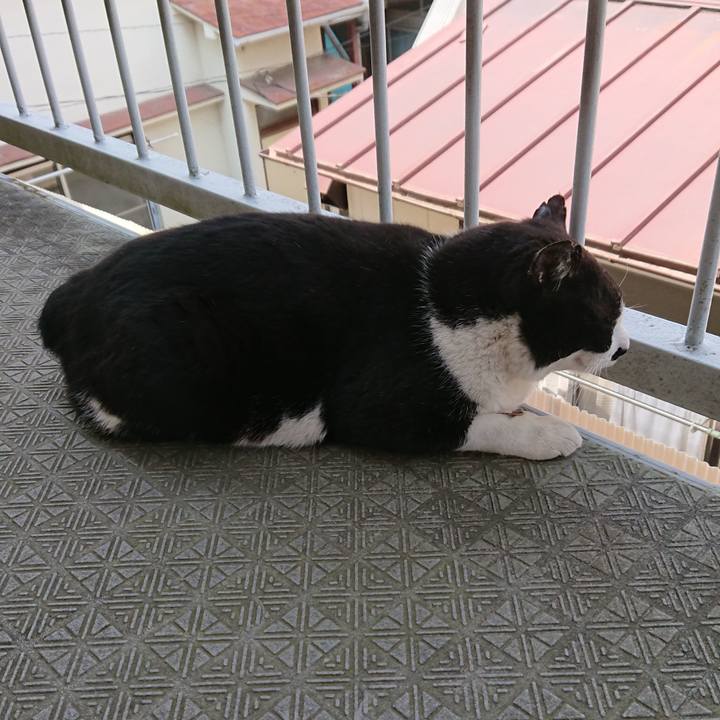 67002adb 7ced 48dc 9c74 7f92a320d180 1554610168430