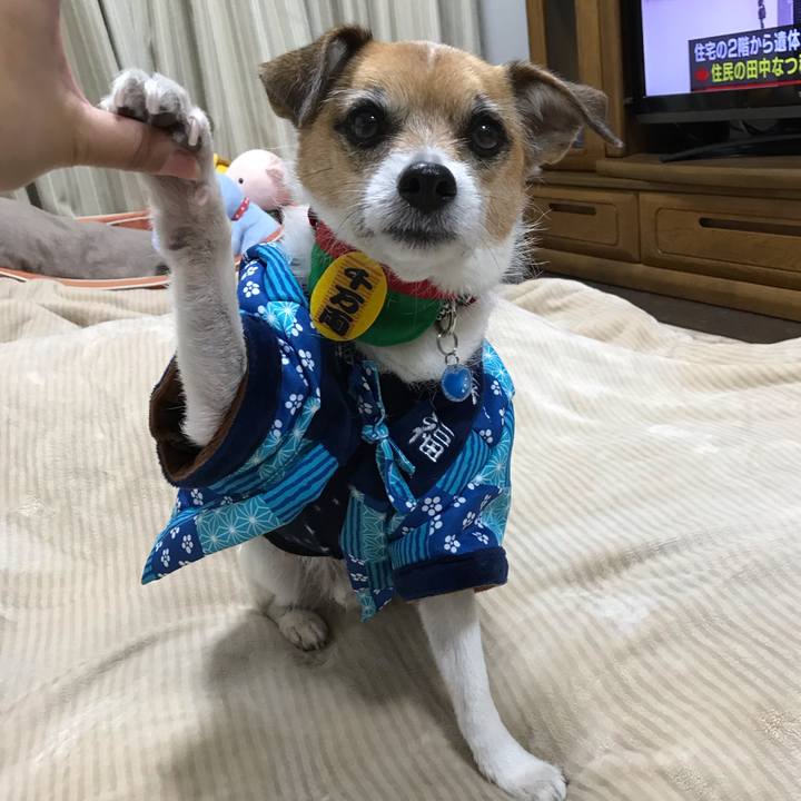 67004200 cc17 4c95 936c e0e650dbf8f1 1547282248295