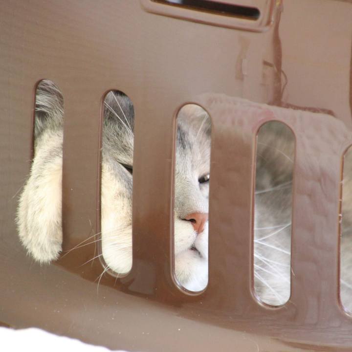 67004820 ff88 4fe7 bb6a 4c22d164a6db 1535350469361