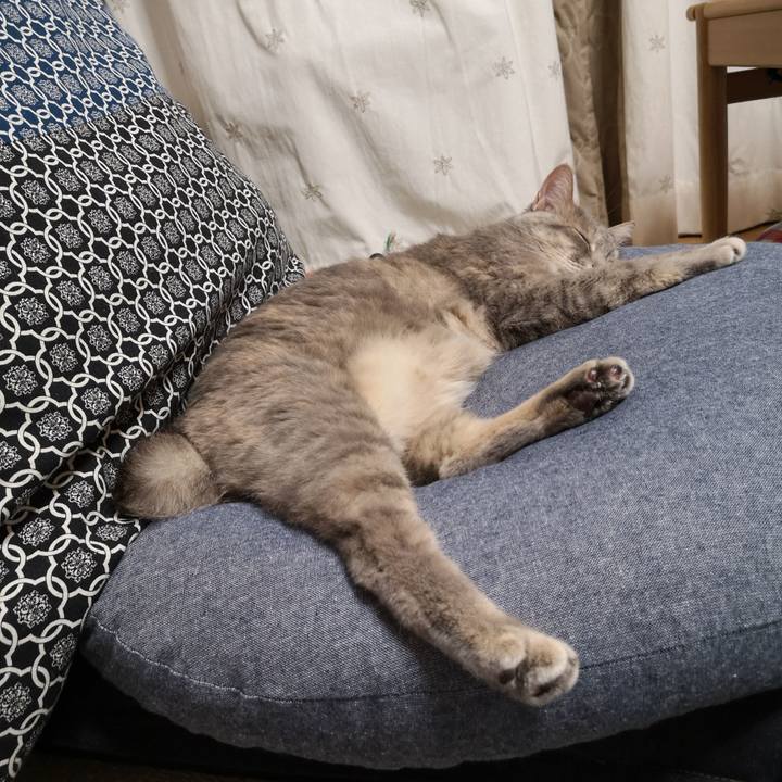 67005f32 6f56 4616 a01f 5cf3624c1d1d 1588340736436