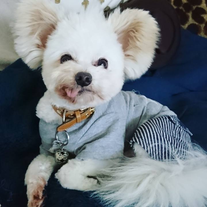 67006d8c 111a 429b 9888 cb500617306e 1554112625522