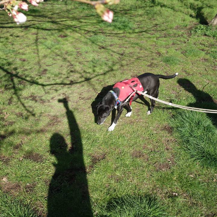 67006df8 af98 40a8 b170 bed51e7a1b20 1679274855803