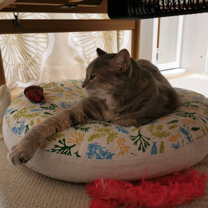 67008099 55f4 423c bd2a 48cc6f100bff 1660973017101