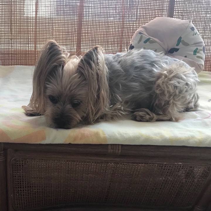 670092d6 8250 48b0 8d04 528e5fdf7875 1556531927665