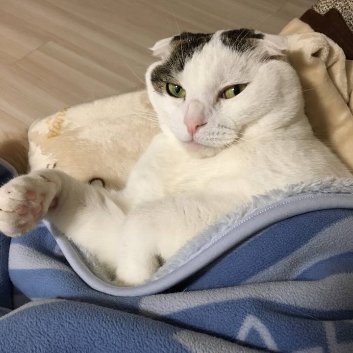 6700b1f3 9c68 4299 a28e 00d511ee4f25 1520245266201