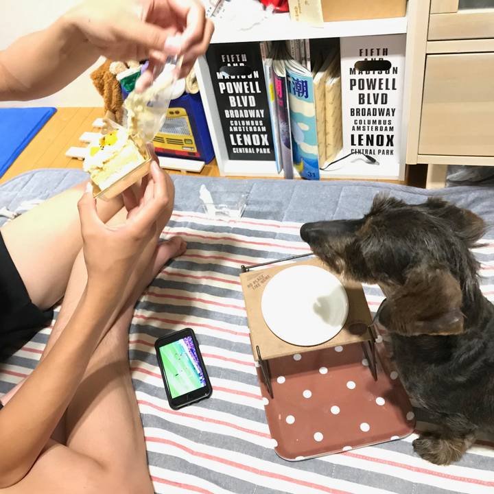 6700c545 28a4 45c5 97db 373dc546b9a0 1559659626247