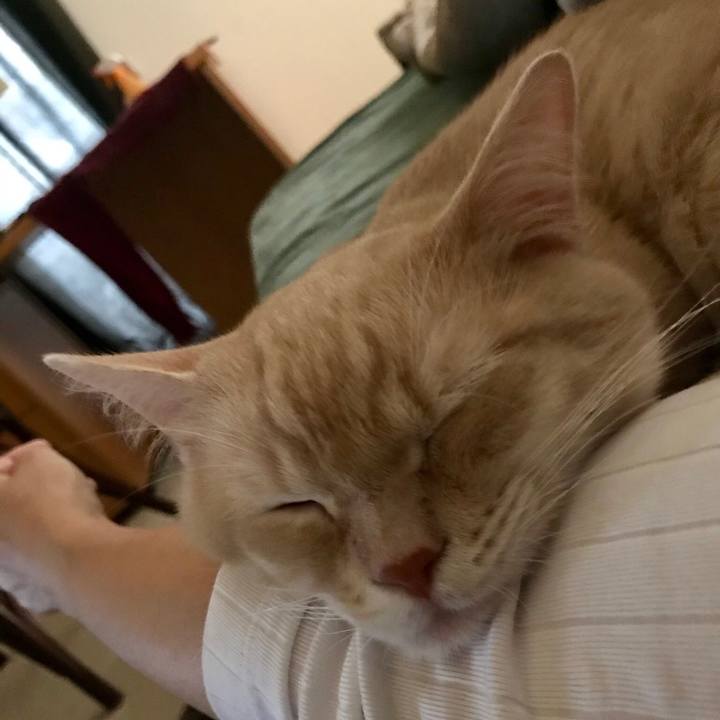 6700ce33 e963 4a11 8b49 fdea20ad90c4 1529133418562