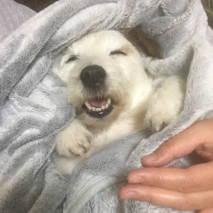 6700f9a0 85ec 4e76 a20e dfc7fef32e2d 1637350520598