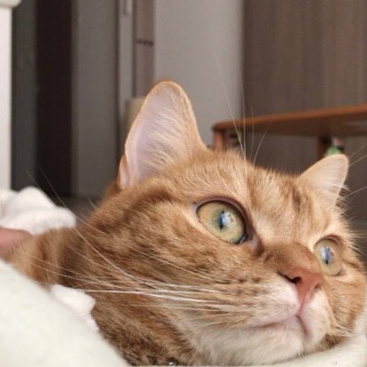 670110cc dab5 4cc9 8841 67aa63512a89 1522969253954