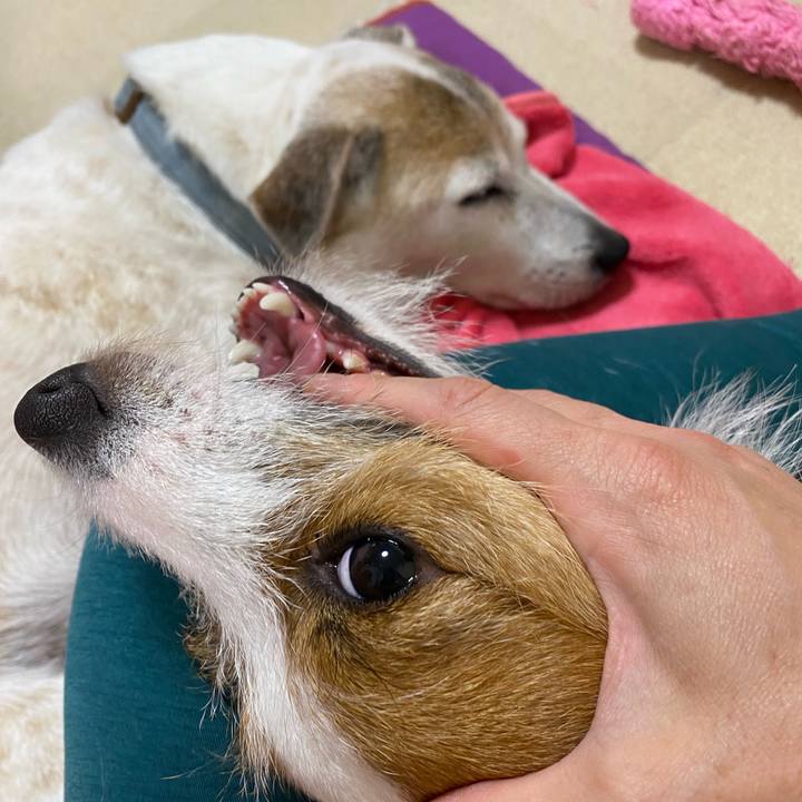 67011955 c2f2 4865 894a fe732ac484ec 1658146224355