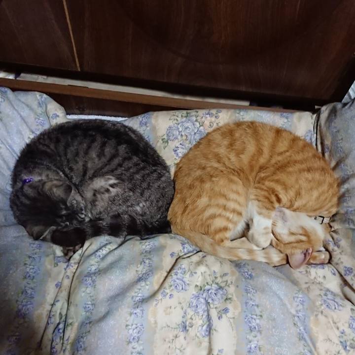 67015424 54d6 4307 aca3 6000206e48a8 1590068647194