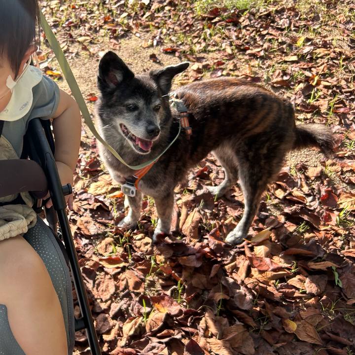 67017623 bbb9 429c 8ad2 365281a57fbe 1760969341099