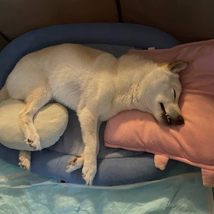 6701e453 0d87 435f 9ab9 02ecf709a1b7 1654963364613