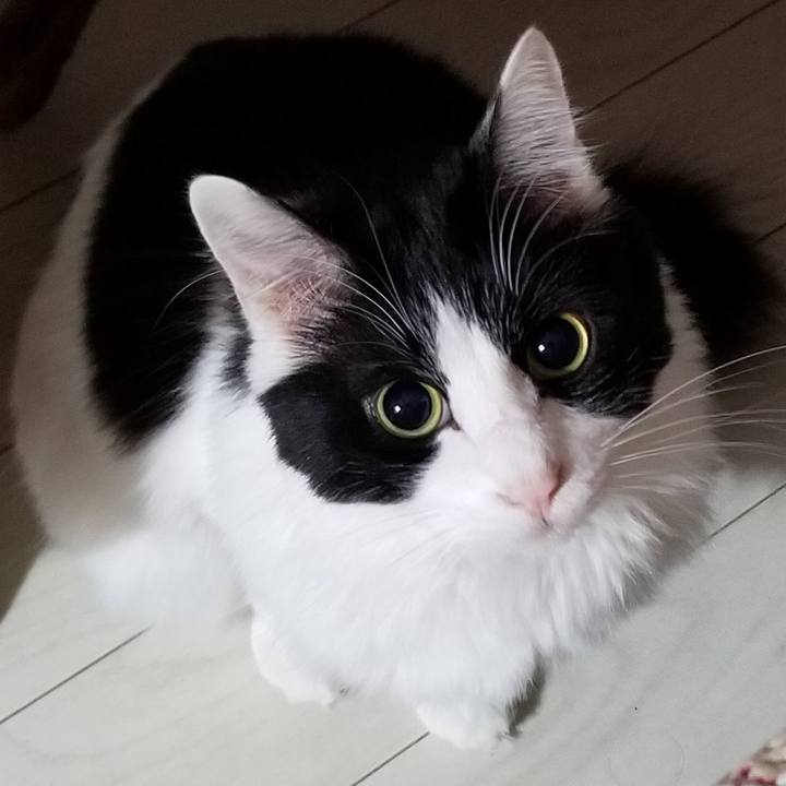 6701f899 b052 4129 8156 4a83a84037bd 1578575521797