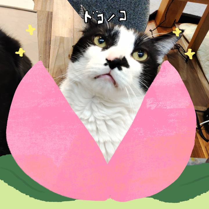 67025905 cecd 4dc7 ac2e 1955d8350cdd 1771822343271