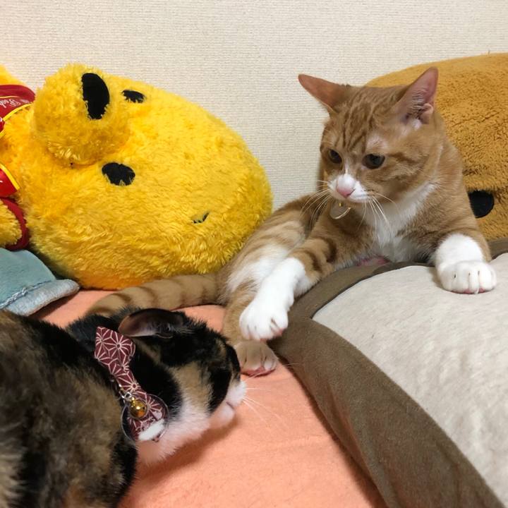 6702922f 1549 4869 9ace 875b98ff1013 1554705644396