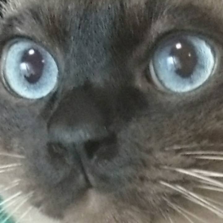 6702a93d 2816 4cc4 a603 0d81b39bf6b8 1552563542309