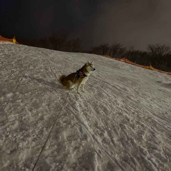 6702b114 259d 4073 a671 16903dc2e192 1707384098588