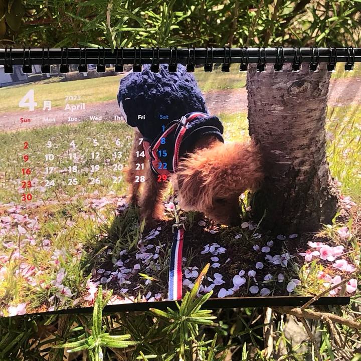 6702e91c 27a5 4a29 9852 d5f7aba6096c 1680317263446