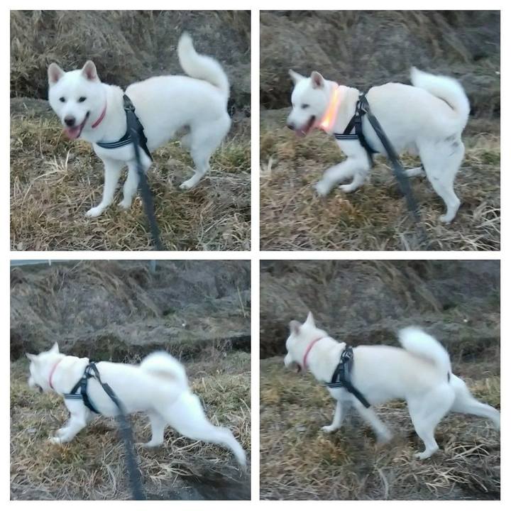 670307ae d7fd 4f0d abaf ddec5edaf742 1611483193821