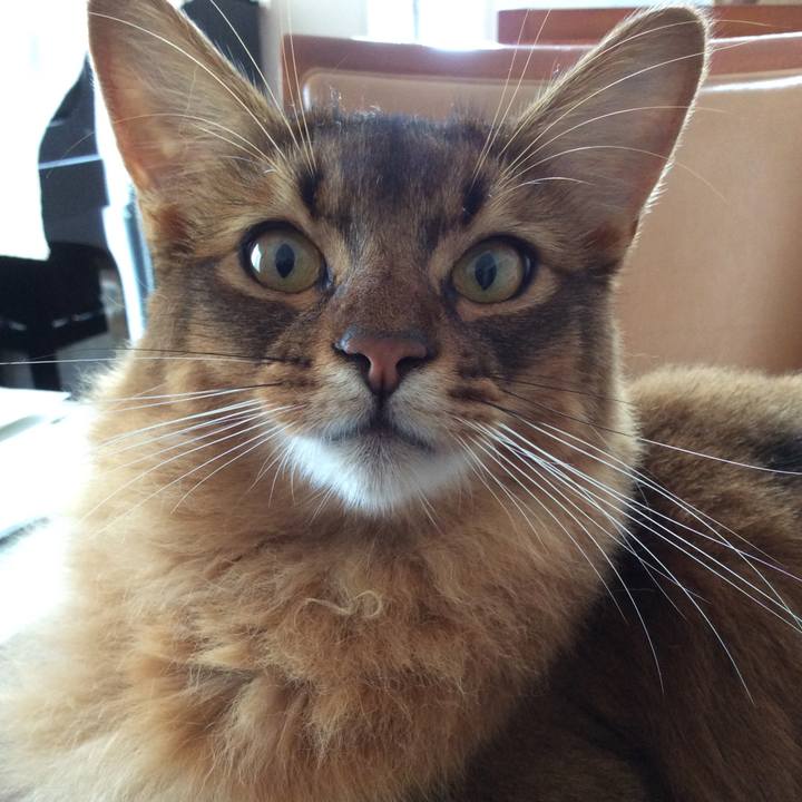 670314a1 f19a 48a0 8692 69bb4fc6f071 1601876086525