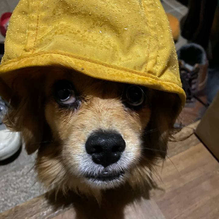 67036ffe ceb6 4332 a03c ca6fe4c8e425 1576534028663