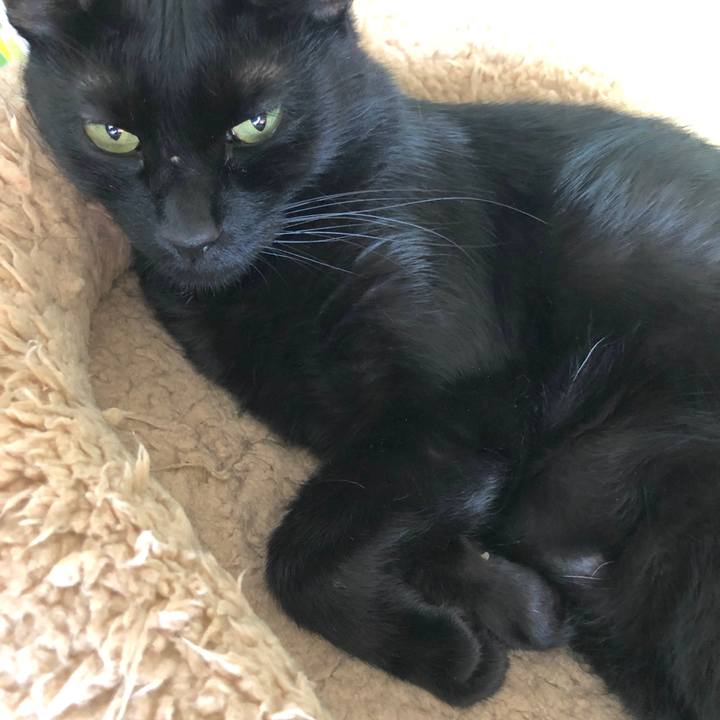 67039473 e931 4348 bfb6 f20812f8a78b 1567825419584