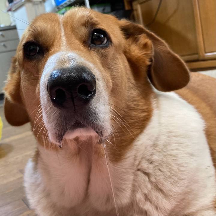 6703b612 295f 4938 bb57 d8be71093857 1761964523456