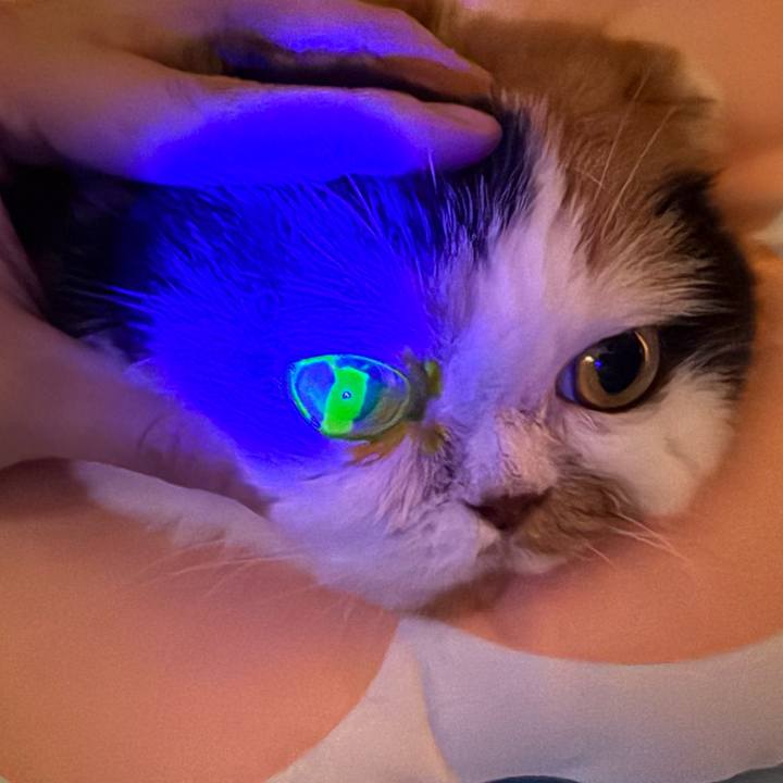 6703c74f efd8 468e 8287 b81416eaed9f 1738890961787