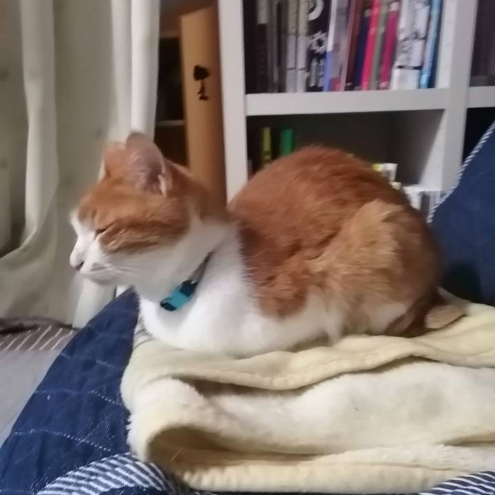 6703c8fa e347 44f2 9764 07ed4c5e9cab 1617018960947