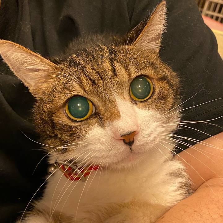 6703de51 fd32 4375 85fe 1108007d744a 1605024801304