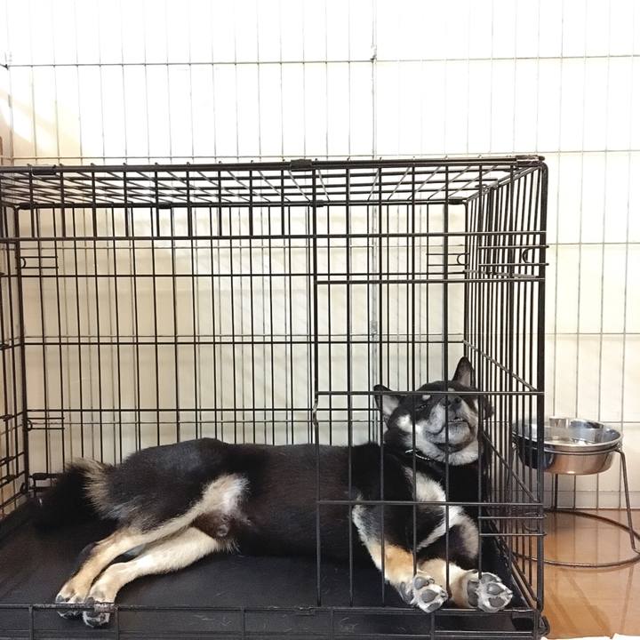 67040b89 21fd 41f6 982e 5abf13b6b649 1535113933570