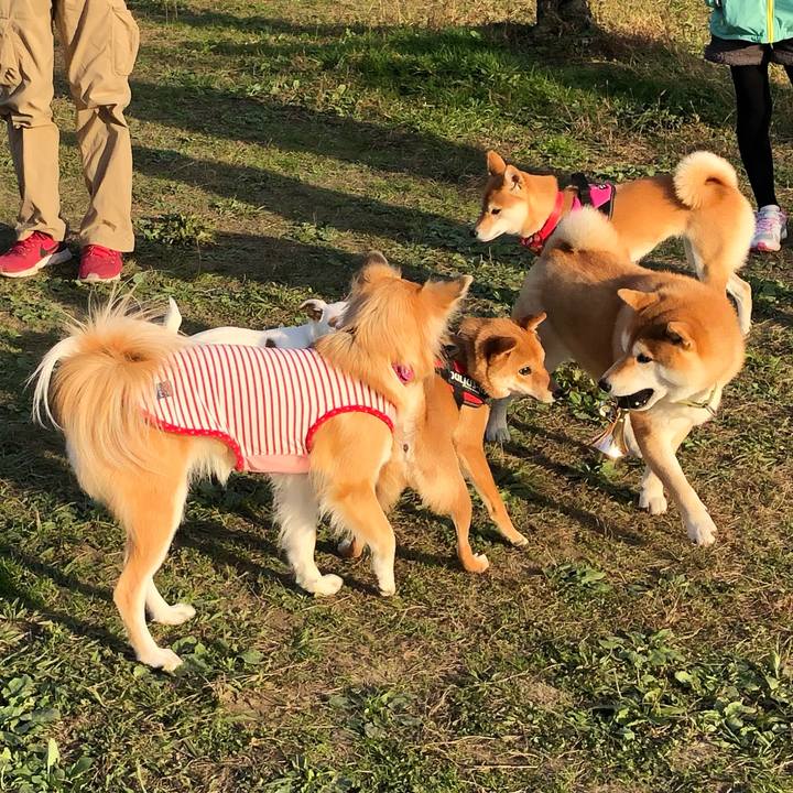 6704351d 7d18 4ccb 8e86 4f95bfdc383f 1543741351327