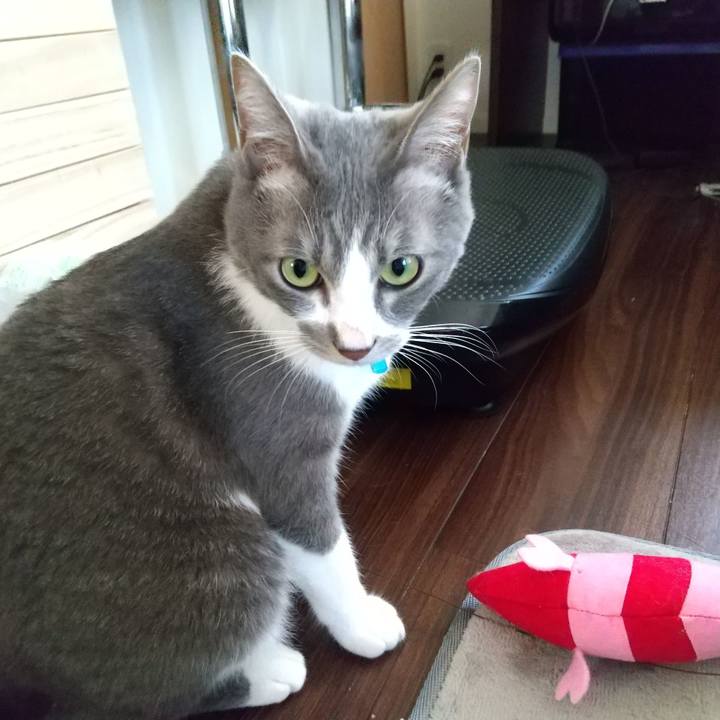 670439d6 22b0 4e8d a2b1 df1f645ee533 1618783051099