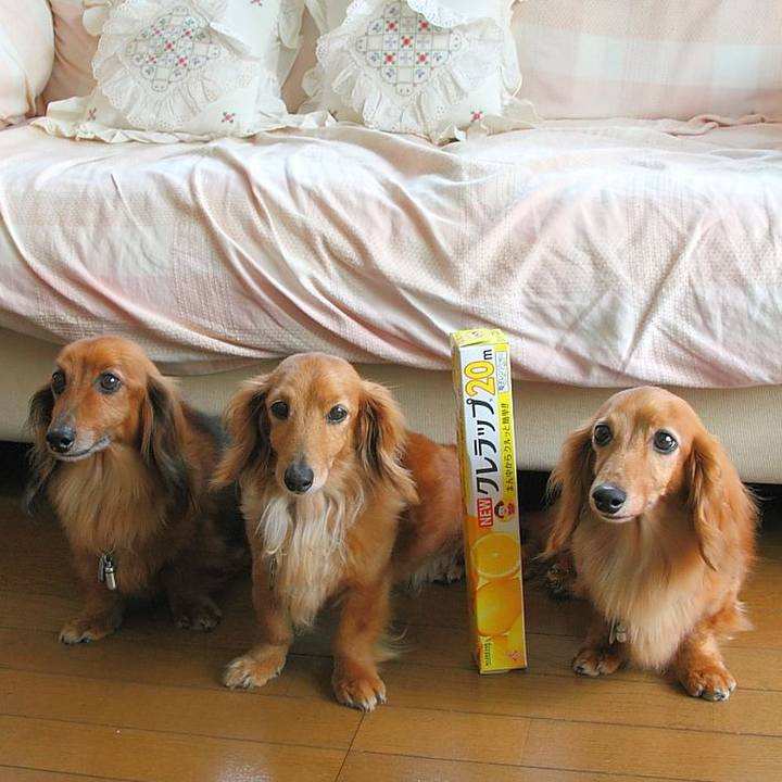 67045ab4 ac21 44af 87dd 09c2815efd5c 1763705557217