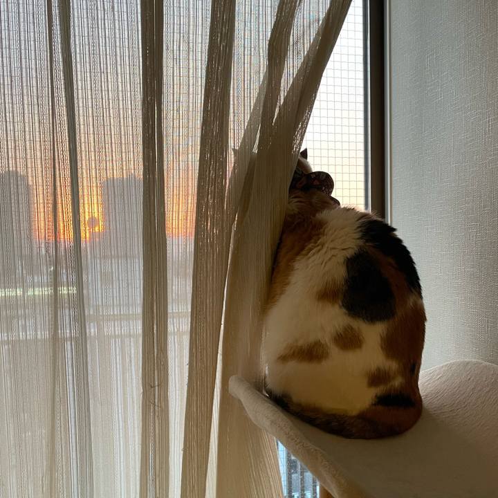 67047a03 b747 48a3 8a7a 1e045fa66ad2 1739694313281