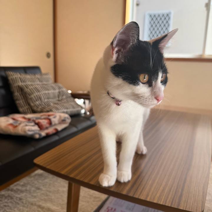 67047df0 7ee8 4ece 84b9 91c4846d3fa1 1761619890306