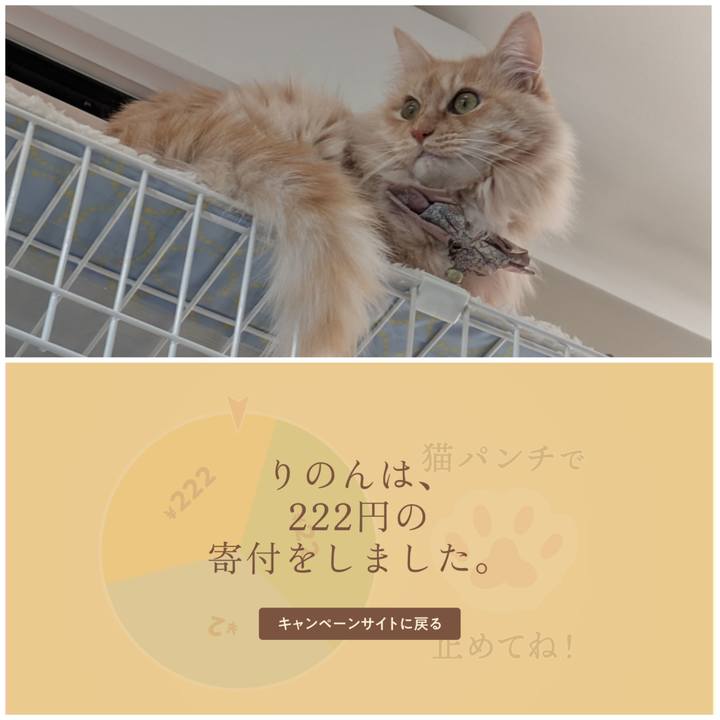 67048f5b a4fc 4662 8624 c08b1f1429f8 1740113578064