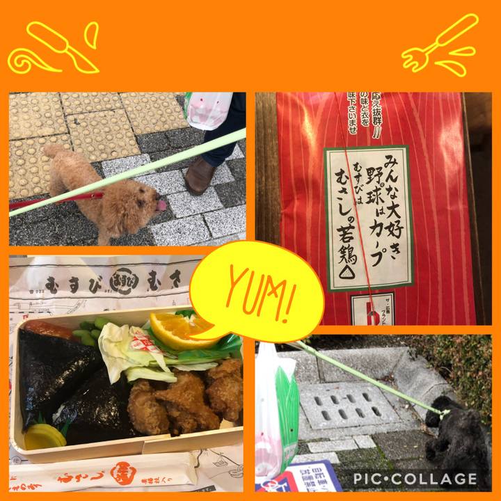 670598cc 377b 430e 9517 065ac606218f 1595503508169