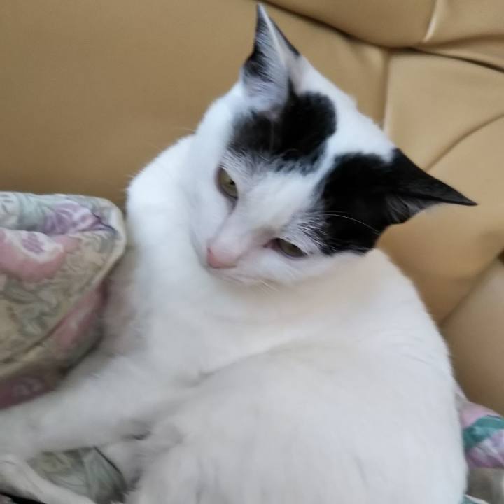 6705df51 3175 405a a540 ef5c5cb07531 1524913586531